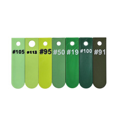 Cactus Pencil Holder / Container – Over 40 Color Choices