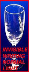 BLACKLIGHT GLOW Permanent INVISIBLE INK UV Black Light SECURITY MARKER Spy Pen