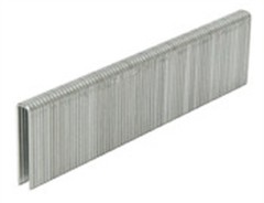 Hitachi 11103SHPT Electro Galvanized Narrow Crown Staples 1 L x 1/4 W in.