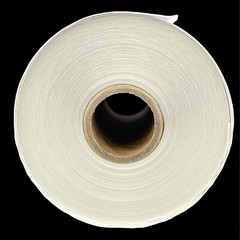 8 Rolls Label 4×6 Zebra 2844 Eltron ZP450 Direct Thermal Shipping 2000 Labels