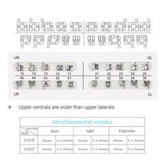 Dental Orthodontic Round Niti Arch Wires Super Elastic / Metal Brackets Braces