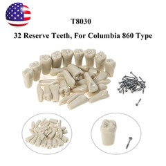 US Columbia Dentoform 860 Type Dental Typodont Model 32pcs Removable Teeth
