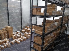 New In Box BECKHOFF EL2502 PLC Module EL2502 EL2502