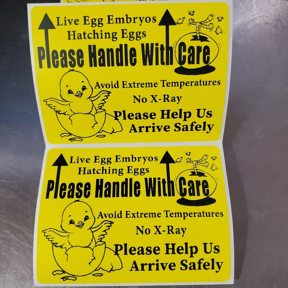 200 Large 4″ x 3″ Handle with care Hatching Eggs Mailing Shipping Label sticker