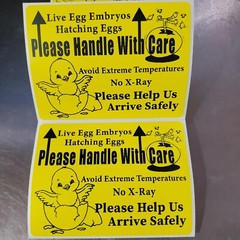200 Large 4″ x 3″ Handle with care Hatching Eggs Mailing Shipping Label sticker
