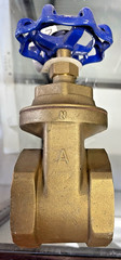 American Valve Lead Free Brass Gate Valve G300 Series 2 1/2” 200 WOG