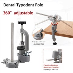 Dental Typodont Mounting Pole Teeth Model 360° Rotating not Teeth Model New