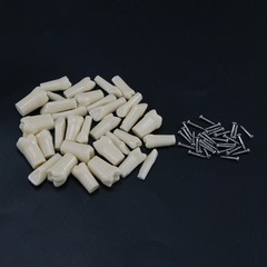 US Kilgore Nissin 200/500 Type Dental Typodont Model Removable Teeth & Screws