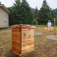 10-Frame Complete Beehive Kit: Beeswax Coated Hive with 2 Deep & 1 Medium Boxes