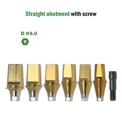 Dental Titanium Straight Abutment Ti Cemented Abutment Fits to Osstem Hiossen TS