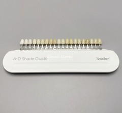 Ivoclar Vivadent Dental Teeth Shade Guide A-D 20 Colors Porcelain Color Chart