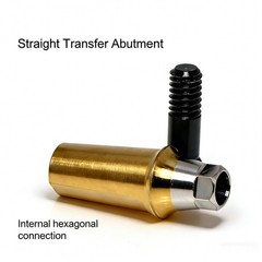 Regular Hex Straight Titanium Abutment for Cement Retained Crown Fits Hiossen ET
