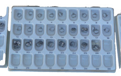 molar bands