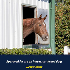 Wound-Kote Blue Lotion Spray Horse Wound Care for Use on Horses and Dogs