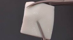 Dental OSSIX VOLUMAX Ossifying Collagen Scaffold by GLYMATRIX 15x25MM Free Ship