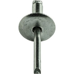 Large Flange Stainless Steel Pop Rivets Dome Head Blind Every Size and Length