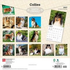 Collies | 2027 12×24″ (Hanging) Monthly Wall Calendar | Plastic-Free
