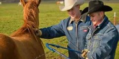 The Original Texas Fence Fixer – Made in Texas USA