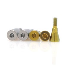 US Fit Straumann BL/BLT Implant Healing Cap Abutment Impression Transfer Tray