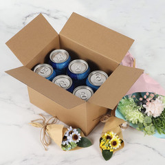 40 Pack 8X6X6 Inches Shipping Boxes Corrugated Cardboard Boxes for Packing, Movi