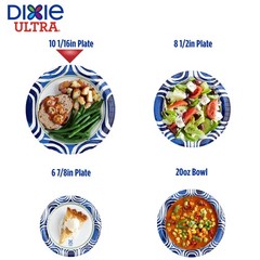 Dixie Ultra, Large Paper Plates, 10 Inch, 100 Count (Pack of 1, White/Indigo