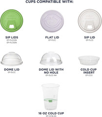 Greenstripe Clear Compostable 16Oz PLA Plastic Cups, Case of 1000, Disposable Re