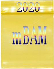 LOTS OF 2020 RAINBOW COLOR APPLE ZIP BAGGIES 100 200 500 1000 GOLD PINK+