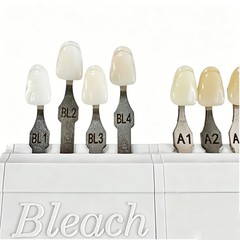 1/2 Set For VITA Classical Dental Shade Guide with Bleached Shades Clip New
