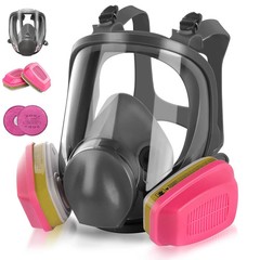 Full Face Respirator with 60926 Filters