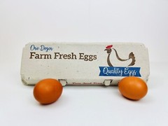 Printed Egg Carton (Chicken) – 100 units
