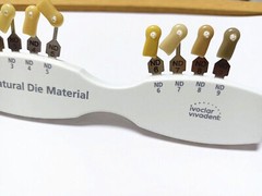 Dental IPS Natural Die Material Shade Guide Ivoclar Vivadent ND1-9 Abutment