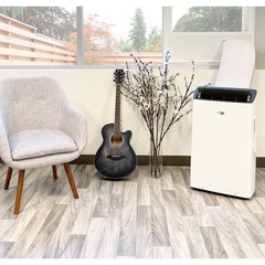 ARC-1230WNH 14,000 BTU Inverter Dual Hose Cooling Portable Air Conditioner