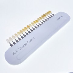 Ivoclar Vivadent Dental Shade Guide A-D 20 IPS or Natural Die ND1-9 Bleach Teeth
