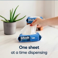 Fresh Feel Flushable Wet Wipes, Adult Wet Wipes, 8 Flip-Top Packs, 42 Wipes per