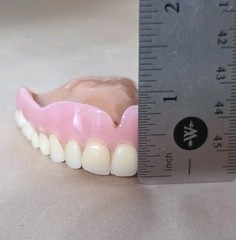 Dentures False Fake Teeth Upper Plate Dentist School Oddity Halloween Prop