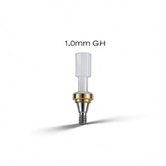 Dental Ti Locator Abutment ZEST Anchor Mini Platform Overdenture for Hiossen ET