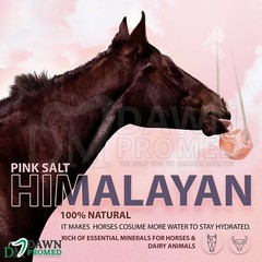 Himalayan Salt Lick Block for Animal Wellness 6.5-8 lbs. 100% Natural Pure Salt