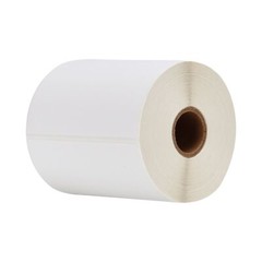 20 Rolls Direct Thermal Shipping Labels 450/roll 4×6 For Zebra ZP450 Eltron 2844