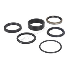 Lift Cylinder Seal Repair Kit for Ford New Holland 7106 7108 7308 & CASE IH L130