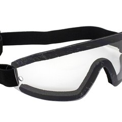 Birdz Eyewear Wing Skydiving & Sports Padded Riding Goggles Black Frame Clear