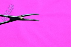 6 PC MOSQUITO HEMOSTAT FORCEPS 5.5″ CURVED STAINLESS STEEL SURGICAL MEDICAL