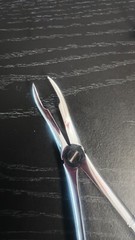 GERMAN STAINLESS EXTRACTING FORCEPS SURGICAL TOOTH EXTRACTION DENTAL 9pcs