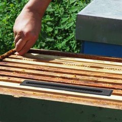 20Pcs Plastic Small Bee Hive Beetle Blaster Beehive Beetle Trap Beekeeping Tools