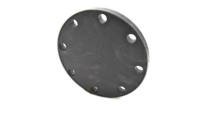 SERVICE METAL BL301.0 300# BLIND FLG RF B16.5