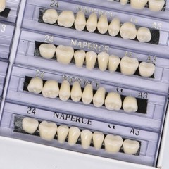 168PCS Acrylic Resin Denture Dental Upper Lower Shade A1 A2 A3 Teeth Set USA