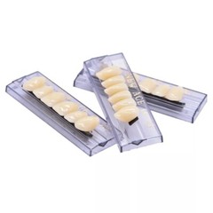 168X Acrylic Resin A1/A2/A3 Dental Denture Teeth Upper Lower Shade 22/23/24# US