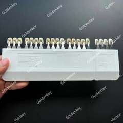 Dental A-D Shade Guide Bleach Teeth Natural Die Porcelain Custom Ivoclar Type US