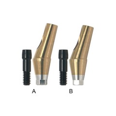 Regular 17°Angulated Angled Anatomic Abutment Osstem Hiossen Implants Ø4.5/5.0mm