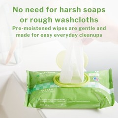 McKesson Flushable* Personal Wipe 6-9/10 X 7 Inch FLF48 1 Pack 48 Wipes