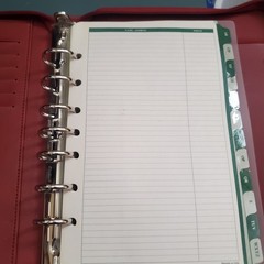 Franklin Covey Day One Classic Red Faux Alligator Binder Planner + New Inserts